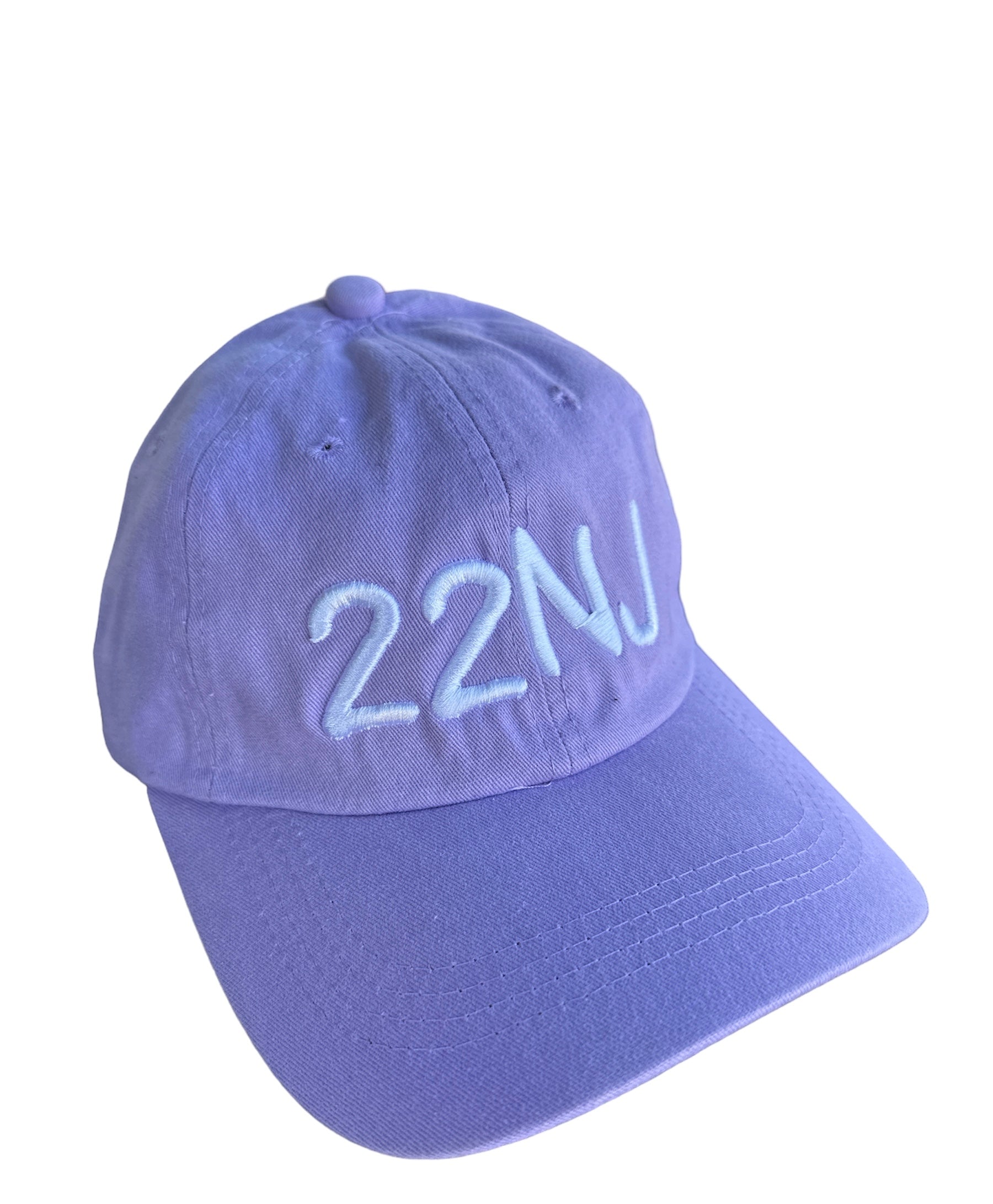 22NJ Washed Lilac Cap