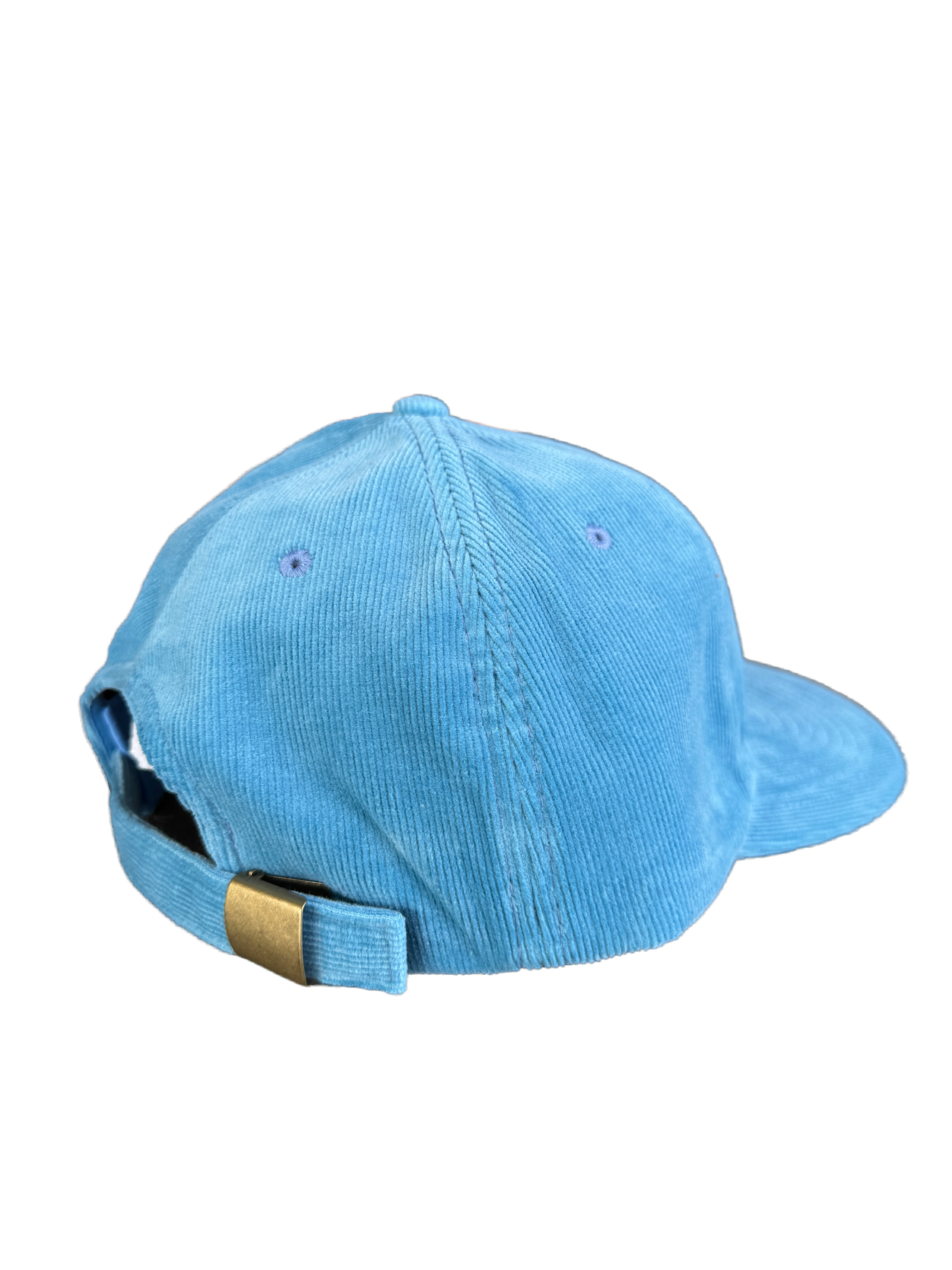 New York Local Hot Dog Corduroy Baby Blue Cap