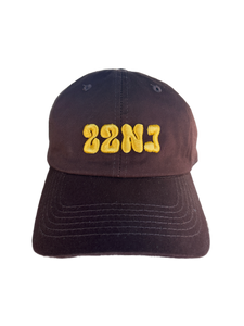 22NJ Brown Washed Cap