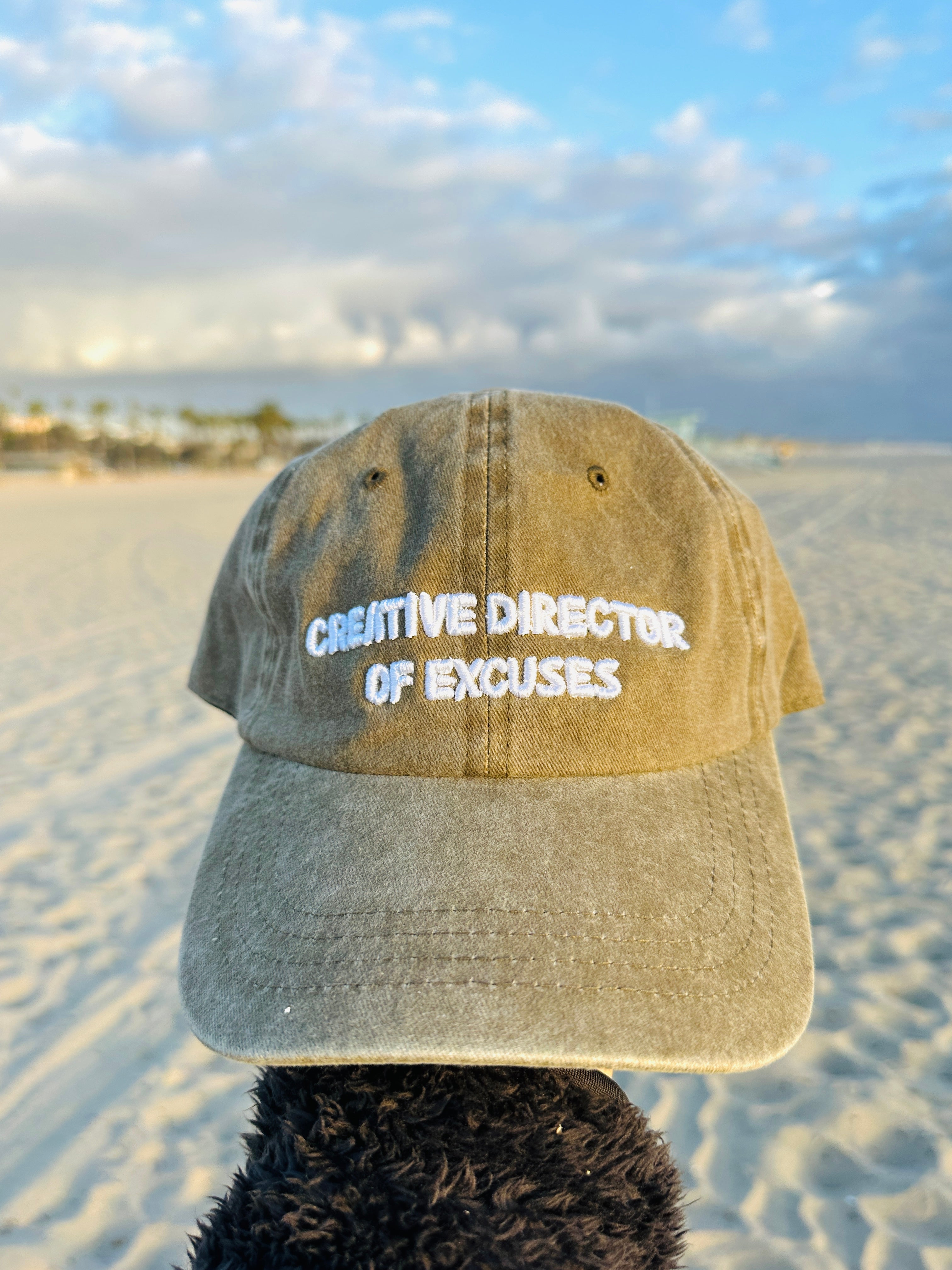 22NJ Washed Creative Director of Excuses Cap